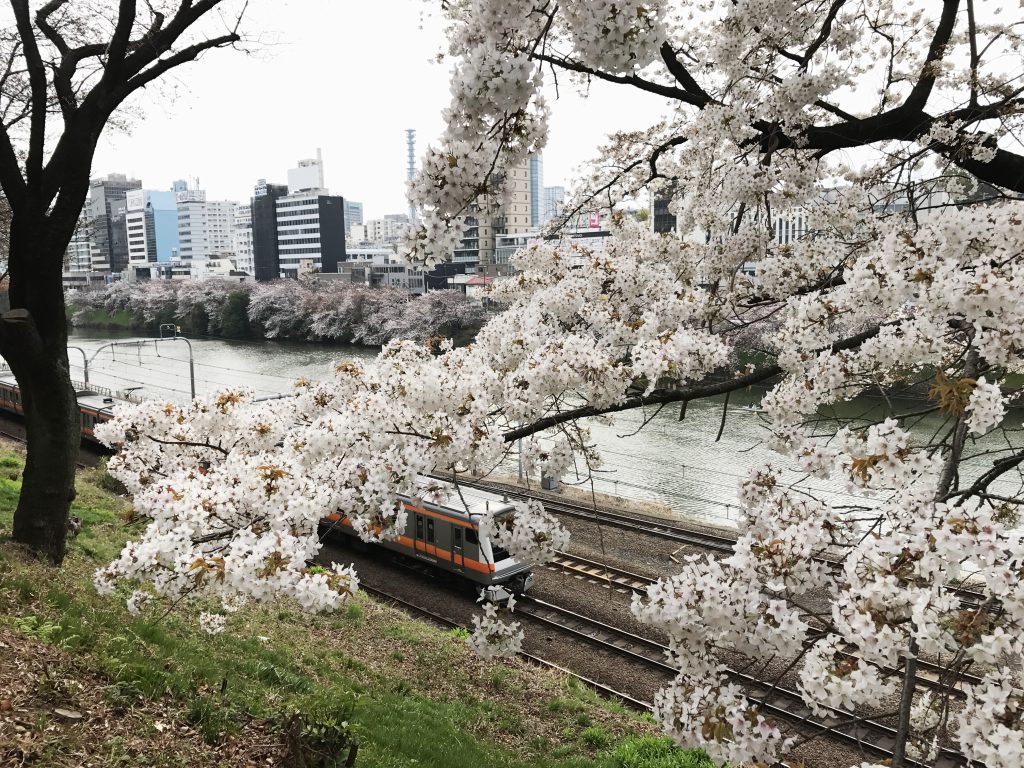 写真 2017-04-05 15 41 24